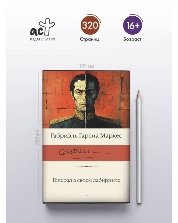 Генерал в своем лабиринте