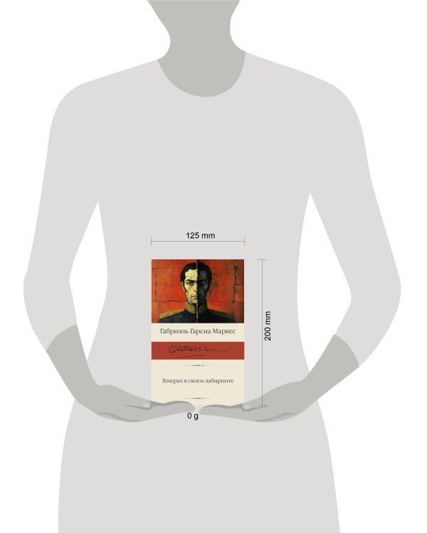 Генерал в своем лабиринте