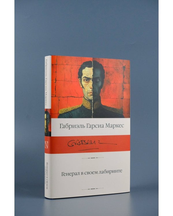 Генерал в своем лабиринте