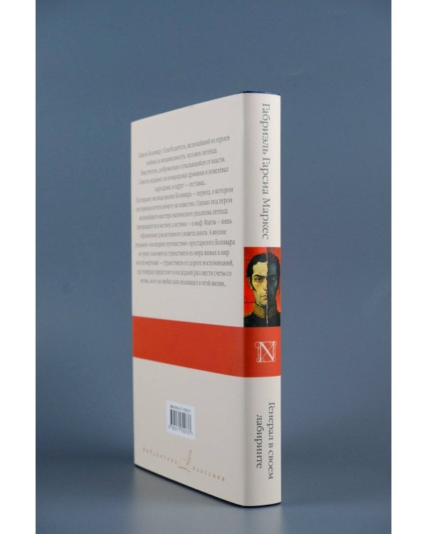 Генерал в своем лабиринте