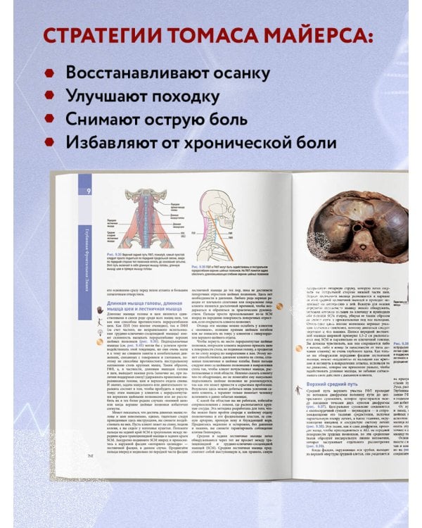 Анатомические поезда. 3-е издание