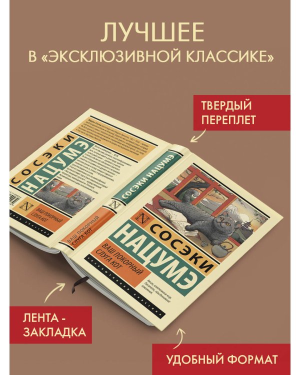 Ваш покорный слуга кот