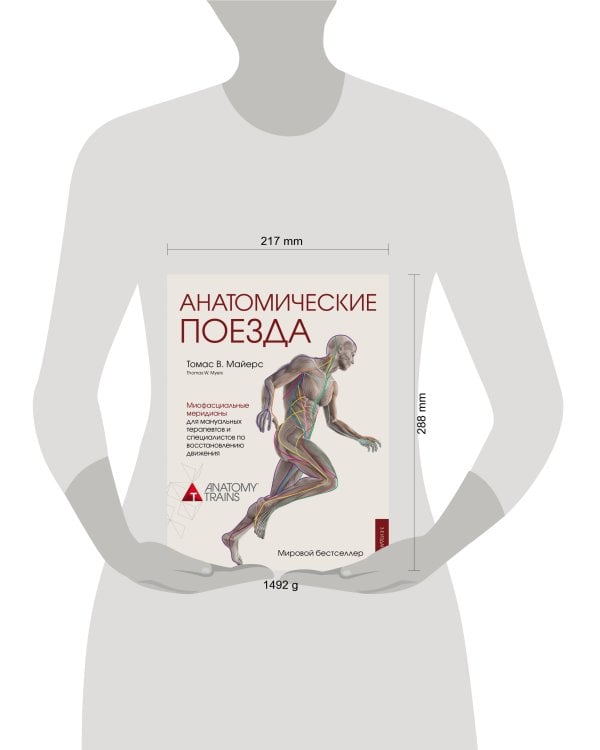 Анатомические поезда. 3-е издание