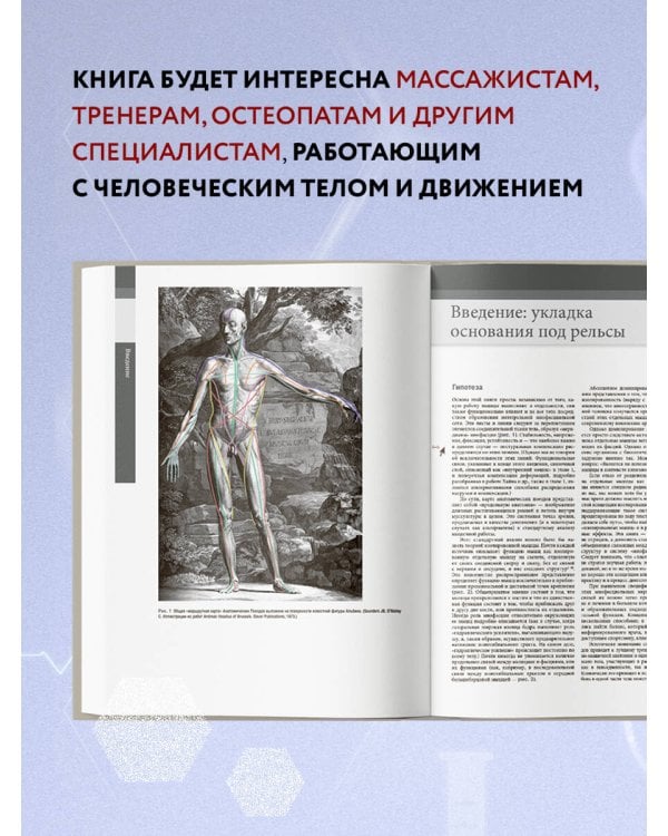 Анатомические поезда. 3-е издание