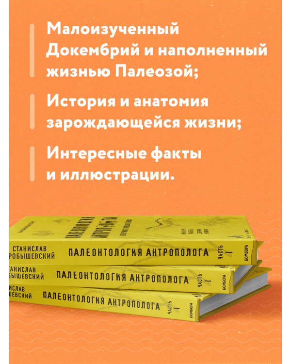 Палеонтология антрополога. Том 1. Докембрий и палеозой. 2-е издание: исправленное и дополненное