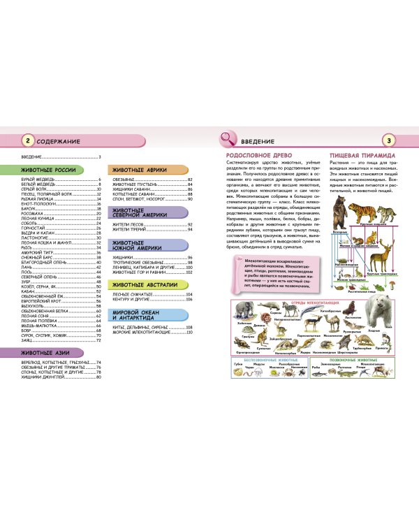 Животные