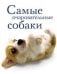Самые очаровательные собаки