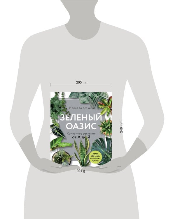 Зеленый оазис. Комнатные растения от А до Я