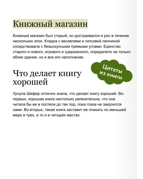 Служба доставки книг. Мини-книга