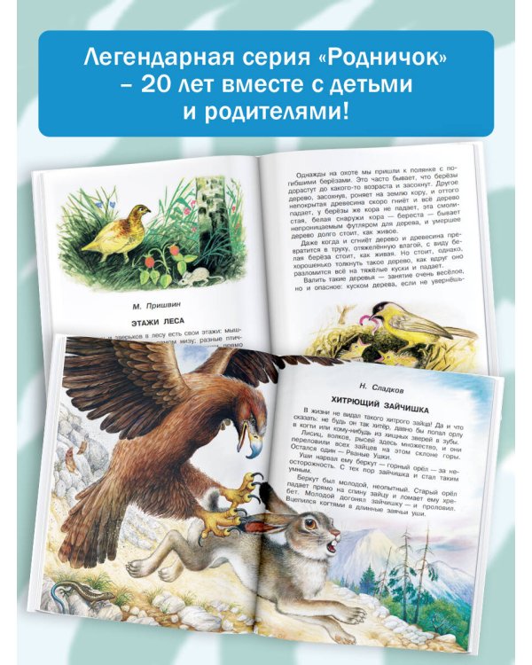 Родничок. Книга для внеклассного чтения в 4 классе