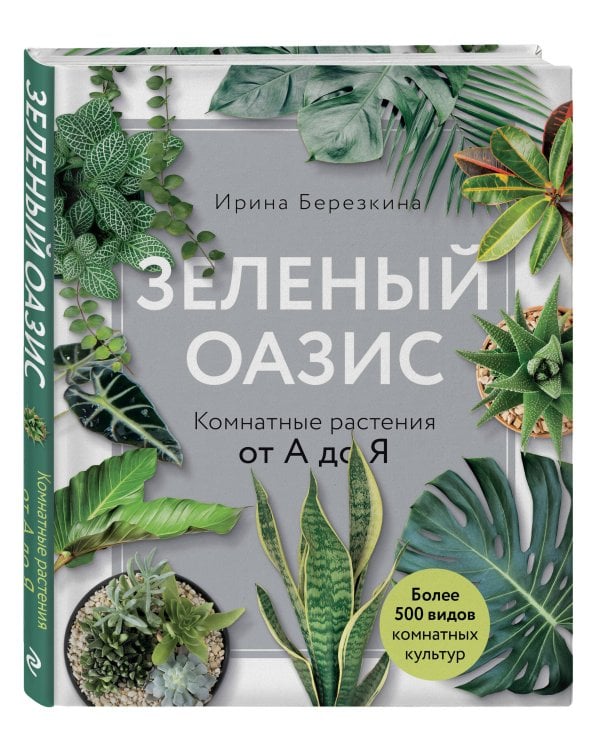 Зеленый оазис. Комнатные растения от А до Я