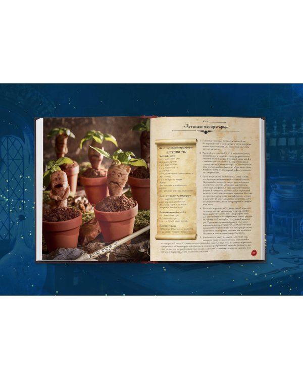 Кулинарная книга Гарри Поттера. Иллюстрированное неофициальное издание