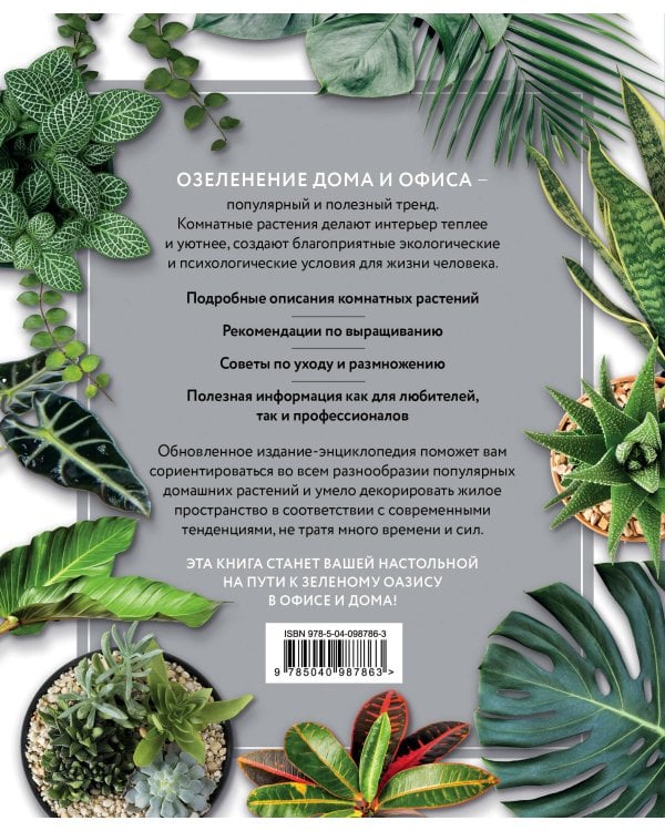 Зеленый оазис. Комнатные растения от А до Я