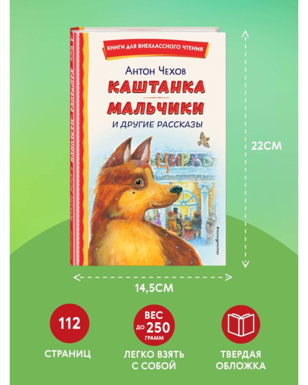Каштанка. Мальчики и другие рассказы (ил. М. Белоусовой, Д. Кардовского)