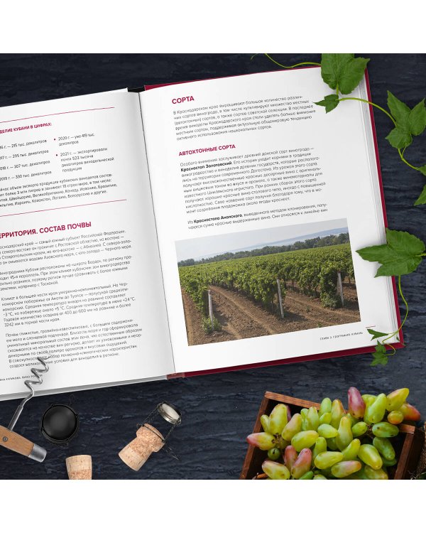 Вино России. История, география, выбор