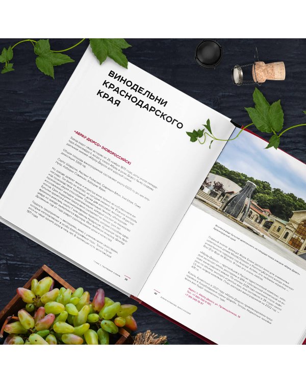 Вино России. История, география, выбор