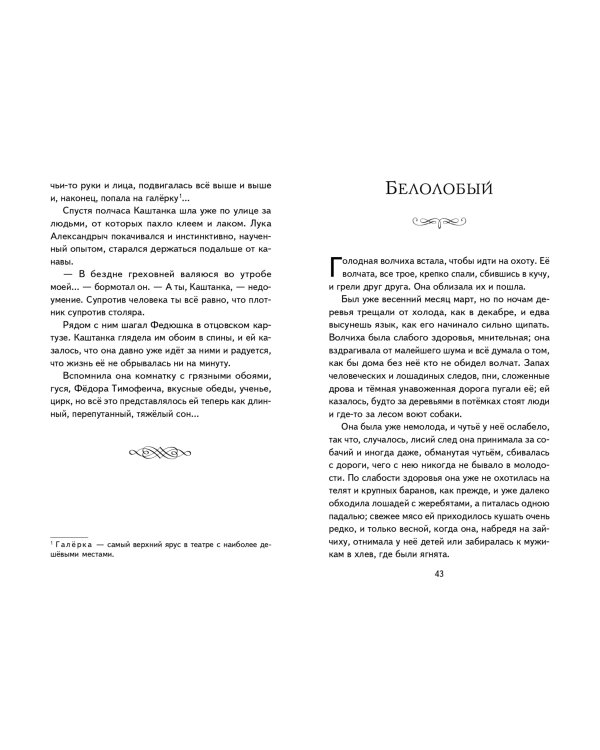 Каштанка. Мальчики и другие рассказы (ил. М. Белоусовой, Д. Кардовского)