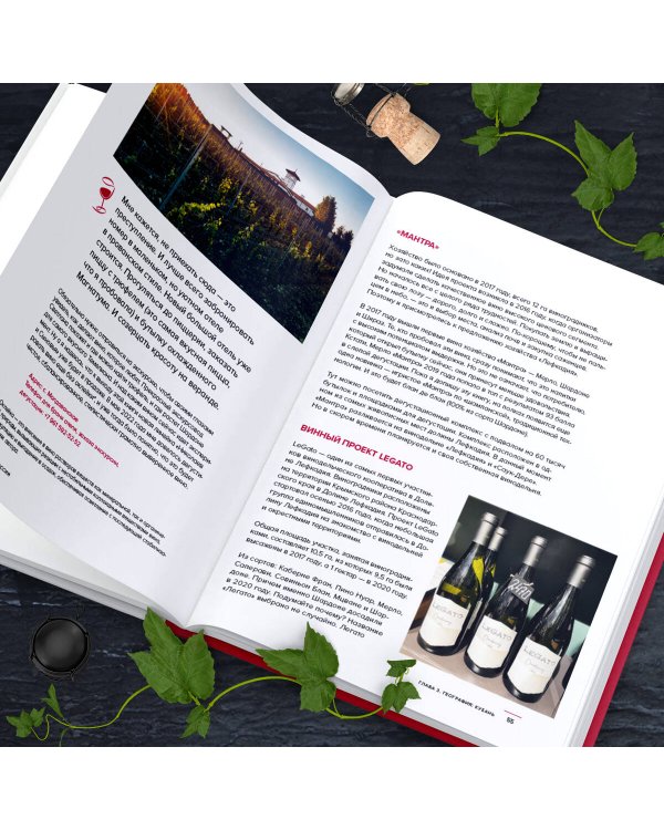 Вино России. История, география, выбор