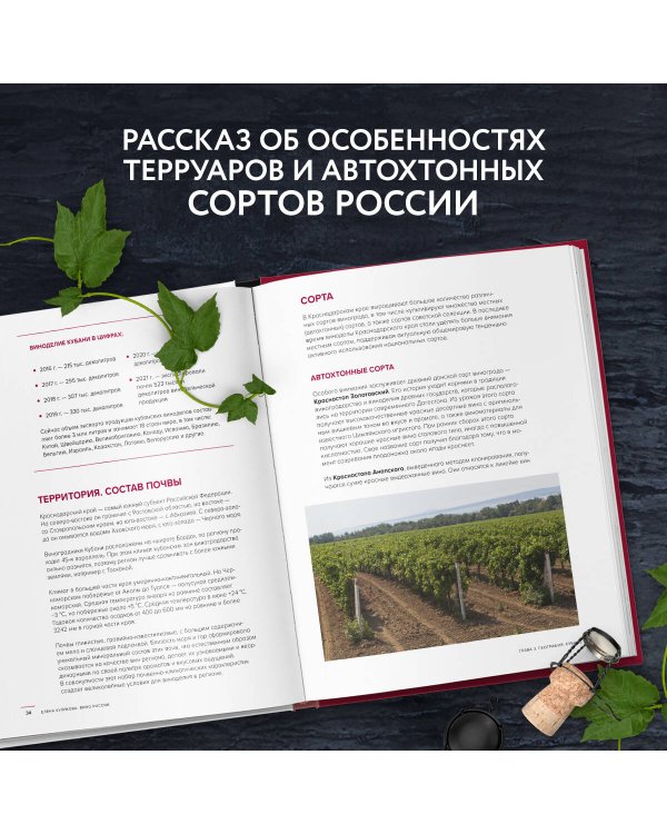 Вино России. История, география, выбор