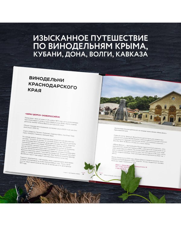 Вино России. История, география, выбор