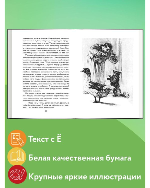Каштанка. Мальчики и другие рассказы (ил. М. Белоусовой, Д. Кардовского)