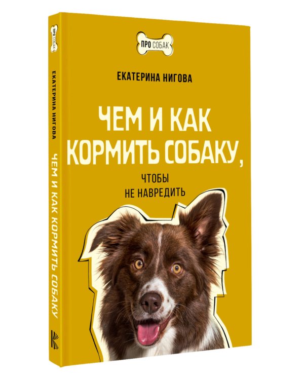 Чем и как кормить собаку, чтобы не навредить