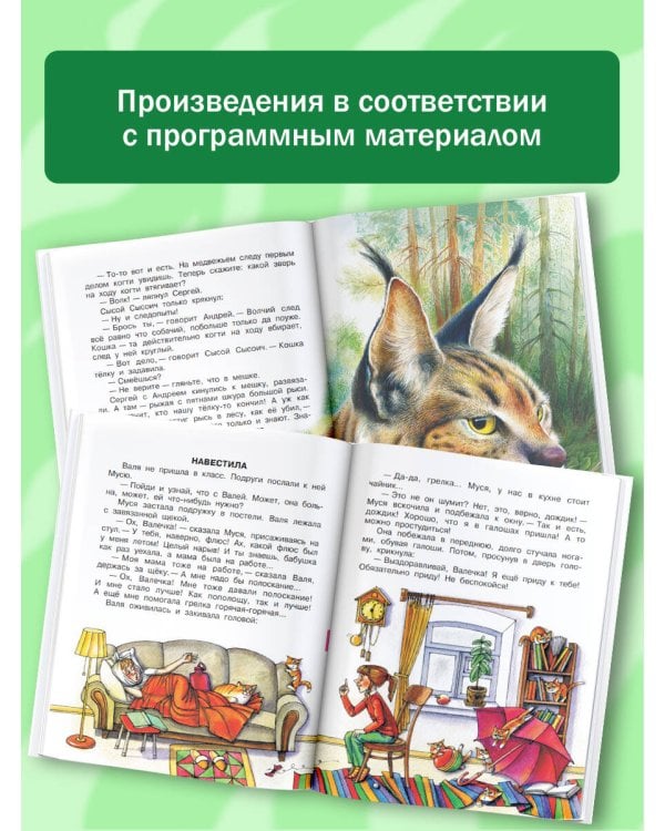 Родничок. Книга для внеклассного чтения 3 класс