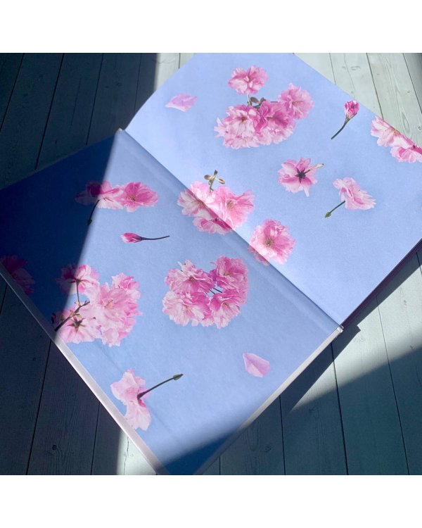 Новые райские кущи