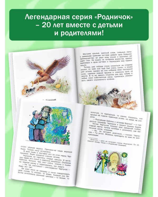 Родничок. Книга для внеклассного чтения 3 класс