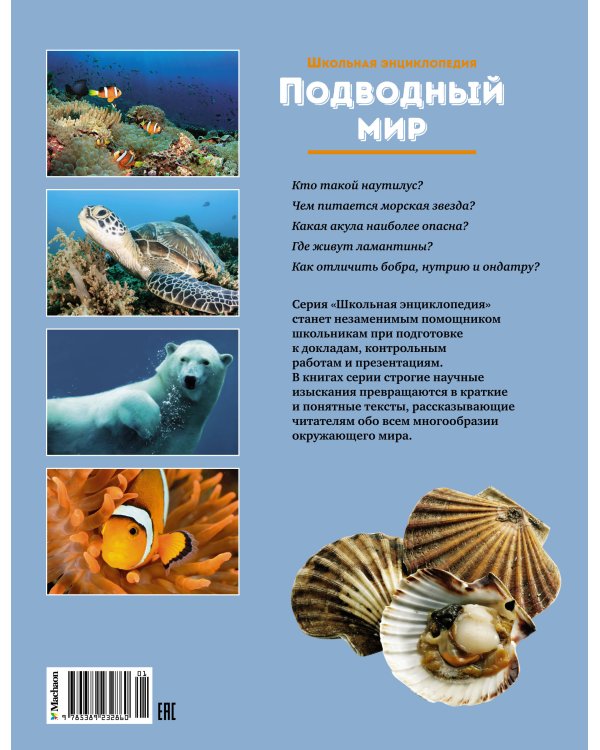 Подводный мир