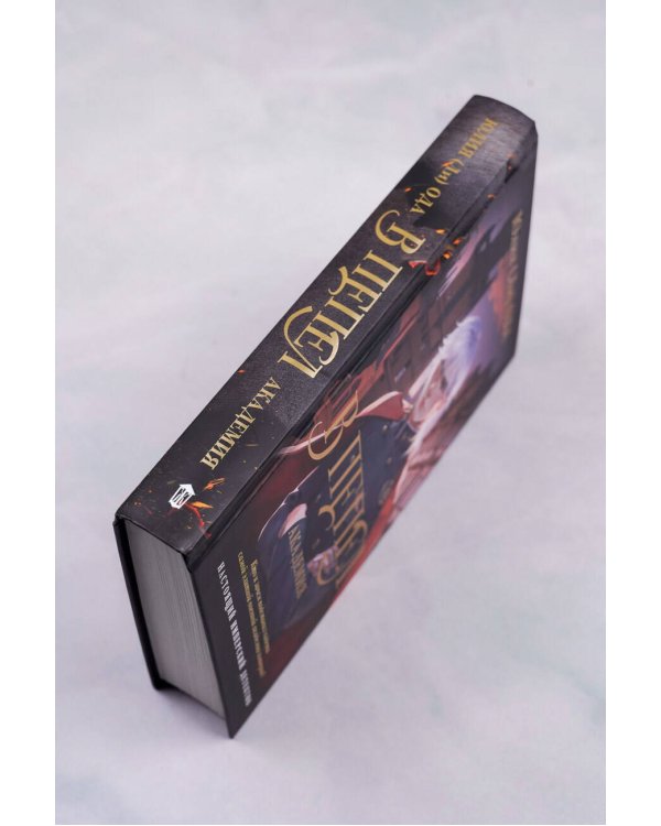 В пепел. Академия