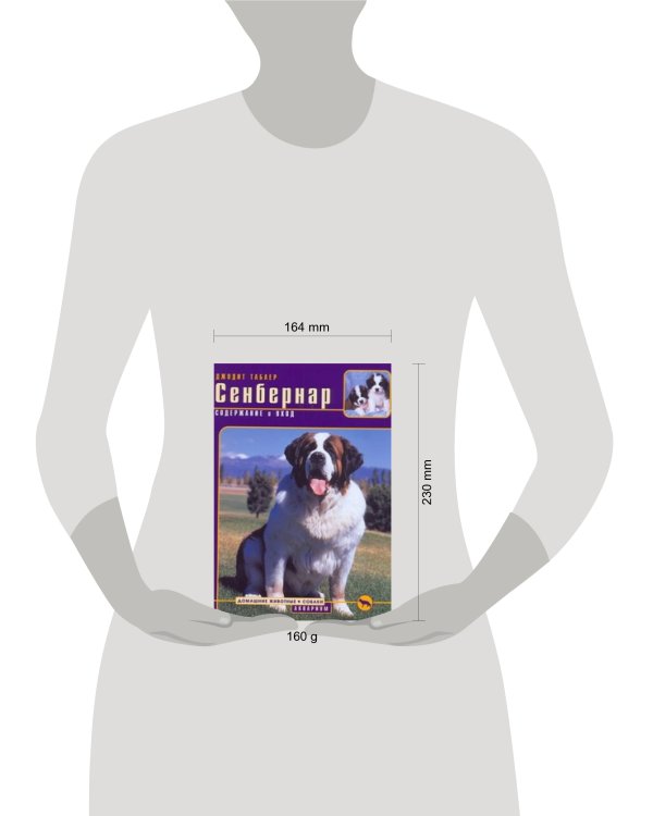 Сенбернар : содержание и уход