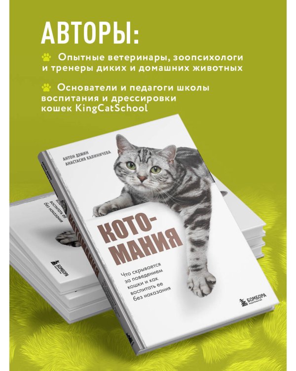 Котомания. Что скрывается за поведением кошки и как воспитать ее без наказания