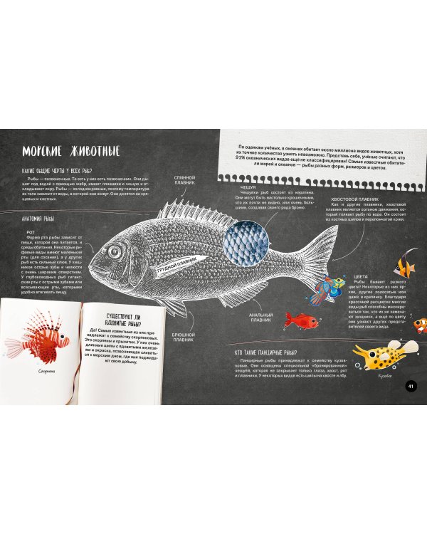 Что? Как? Почему? Мои первые знания про МОРЯ И ОКЕАНЫ (с постером)