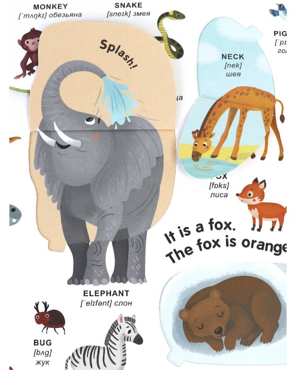 Мой первый словарь. Английские слова.