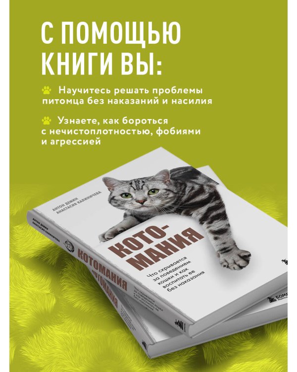 Котомания. Что скрывается за поведением кошки и как воспитать ее без наказания