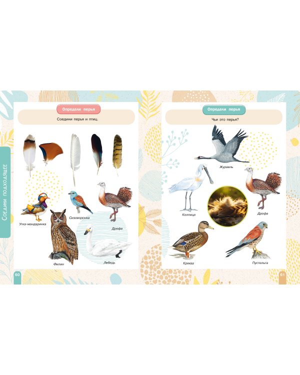 Красная книга. Активити