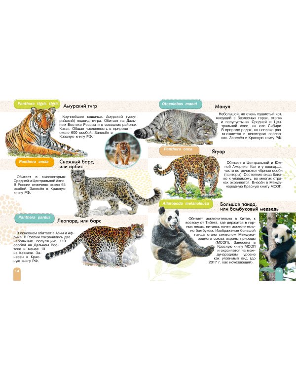 Красная книга. Активити
