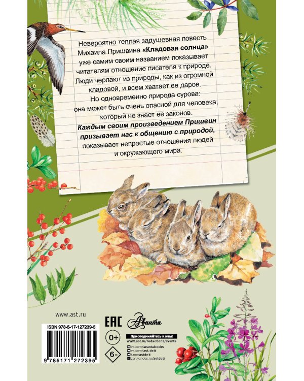 Кладовая солнца