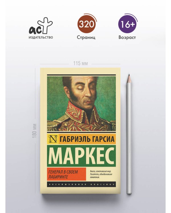 Генерал в своем лабиринте