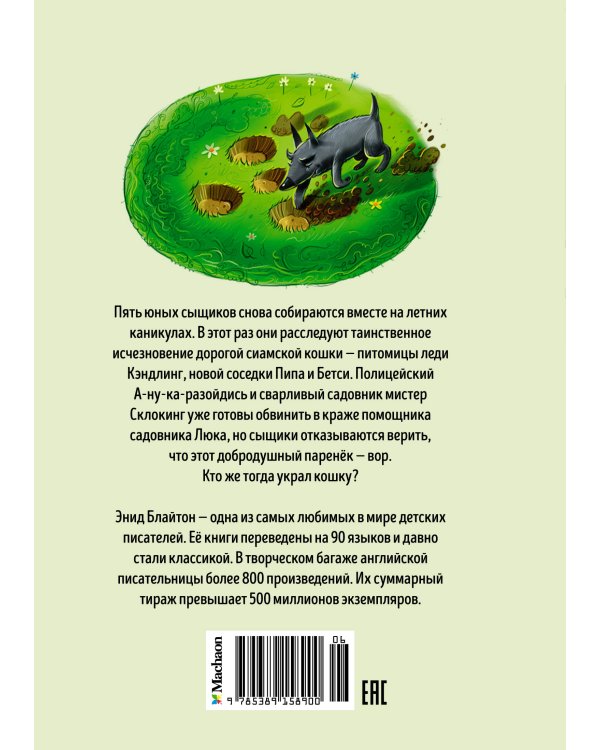 Тайна пропавшей кошки