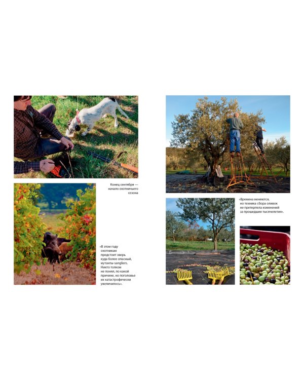 Еще один год в Провансе