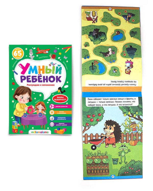 Умный ребенок (на скобе). Рассуждаю и запоминаю