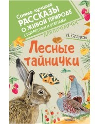 Лесные тайнички