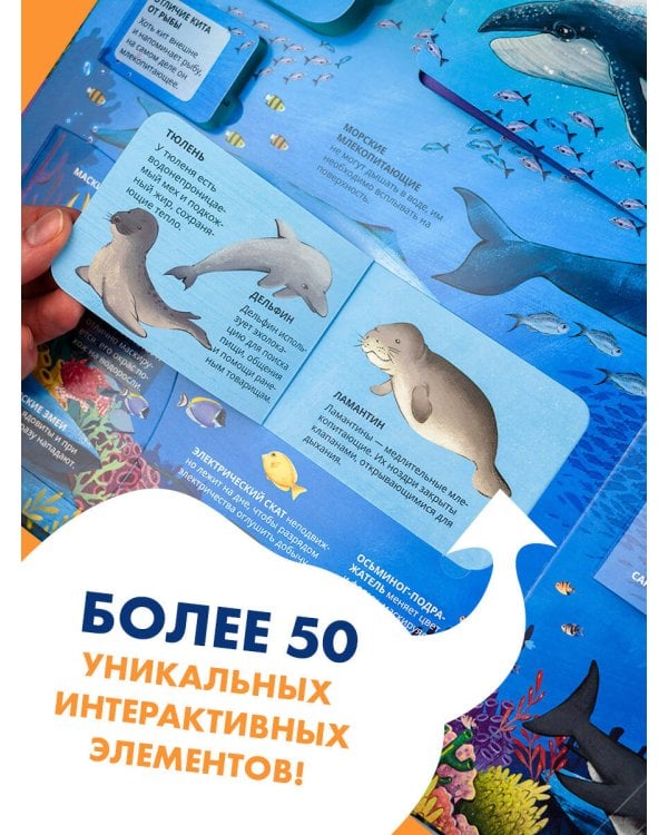 Все тайны подводного мира