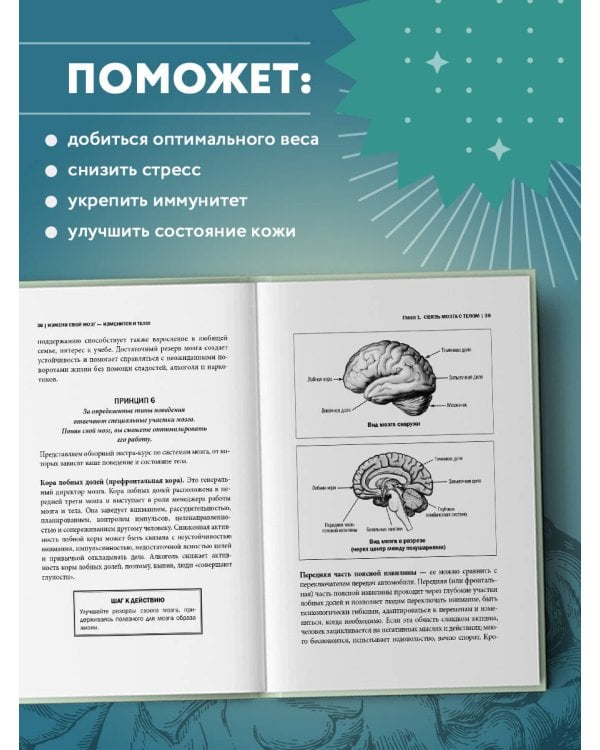 Измени свой мозг - изменится и тело!