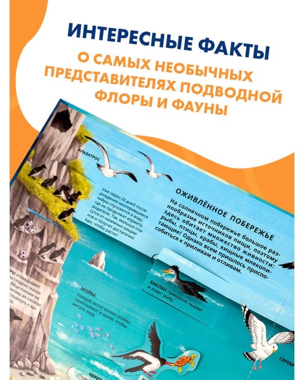 Все тайны подводного мира