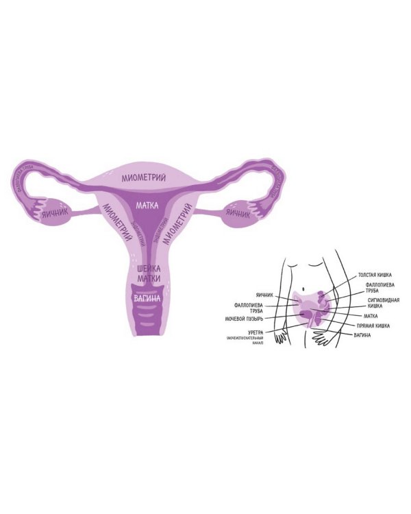 Эндометриоз. Как разобраться в причинах, распознать симптомы и позаботиться о себе в повседневной жи