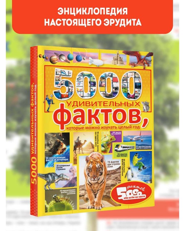 5000 удивительных фактов, которые можно изучать целый год