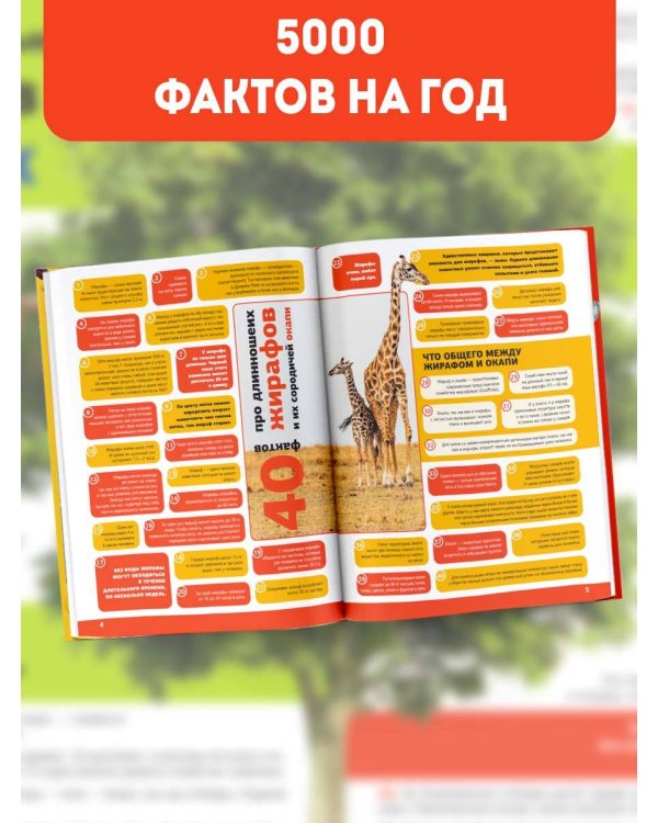 5000 удивительных фактов, которые можно изучать целый год